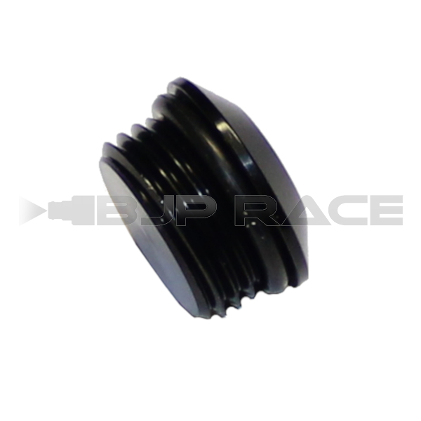 AN12 Plugg O-ring