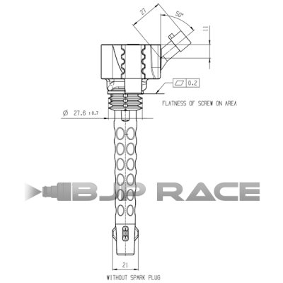 Tändspole Bosch Motorsport P65