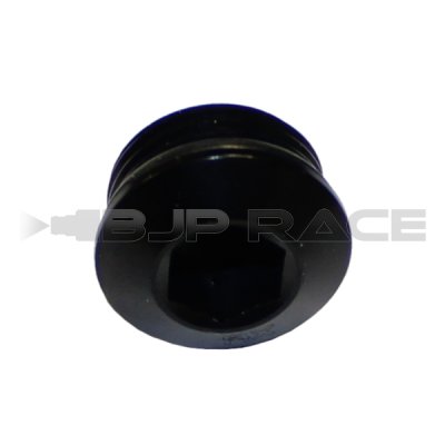 AN8 Plug O-ring